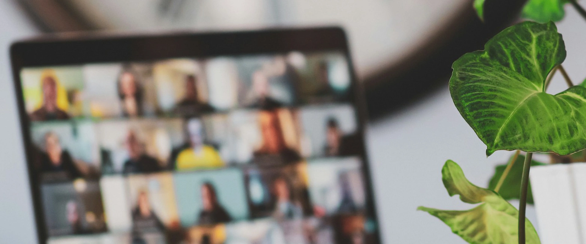 remote working blog