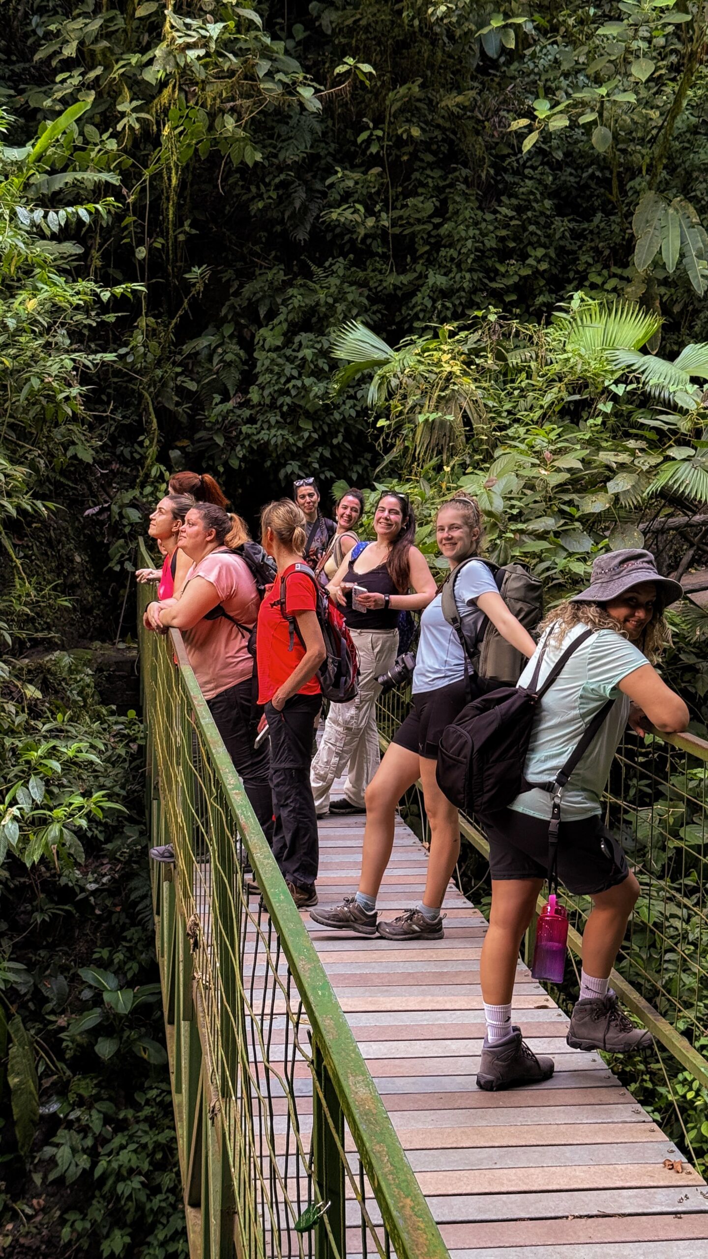 Aventura en la selva