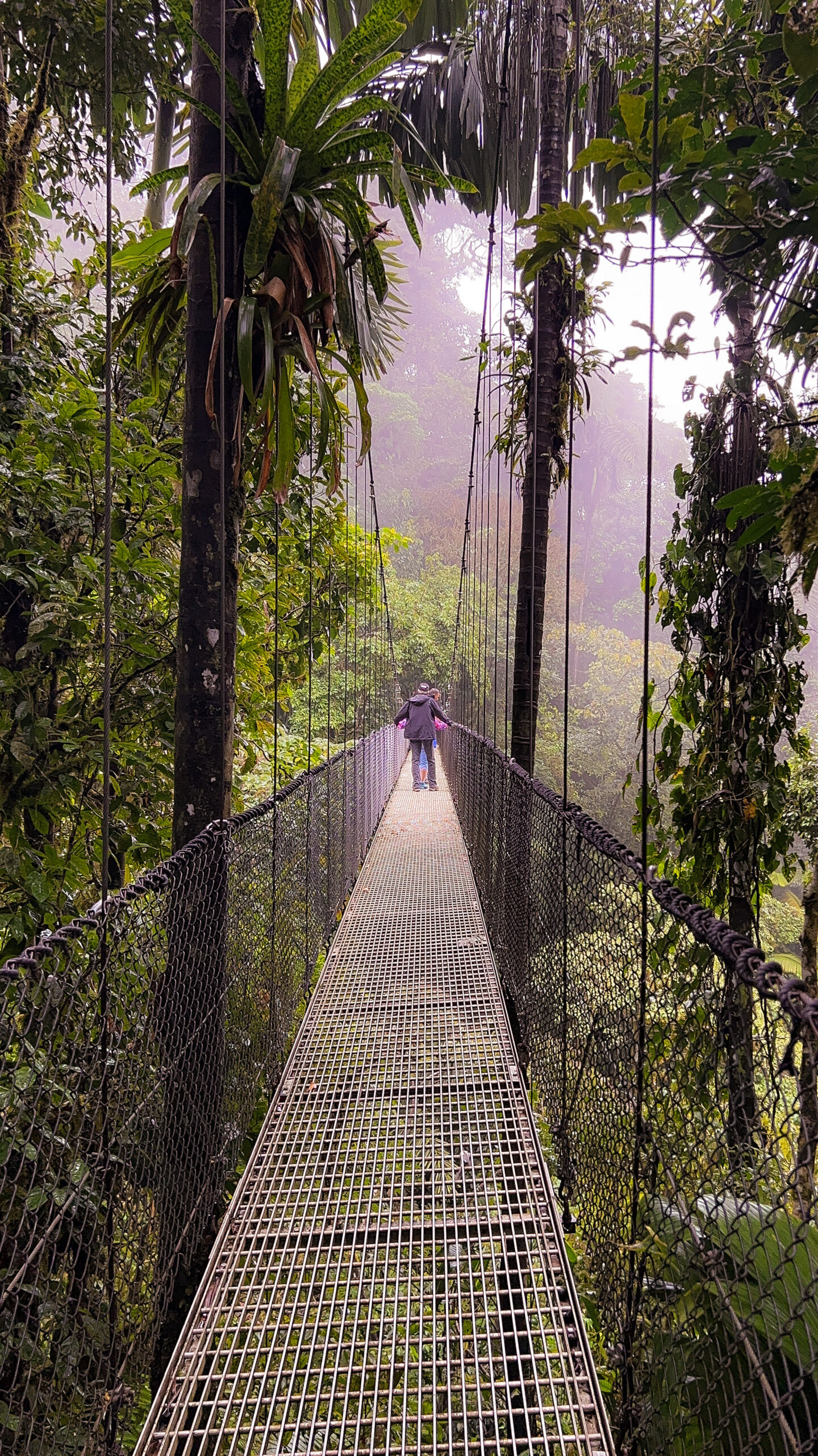Bienvenida a La Fortuna
