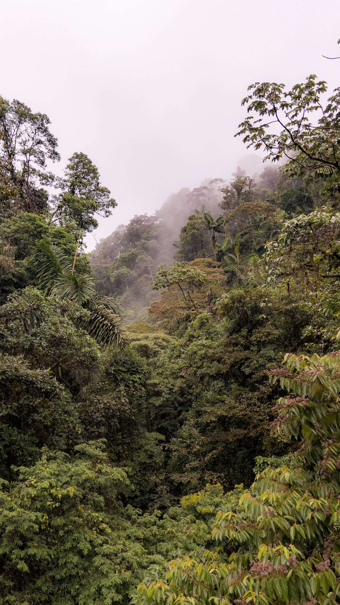 Llegada a Costa Rica