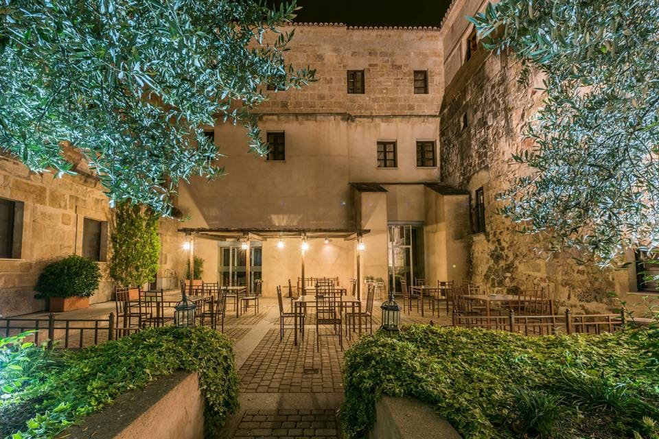 Courtyard terrace among olive trees